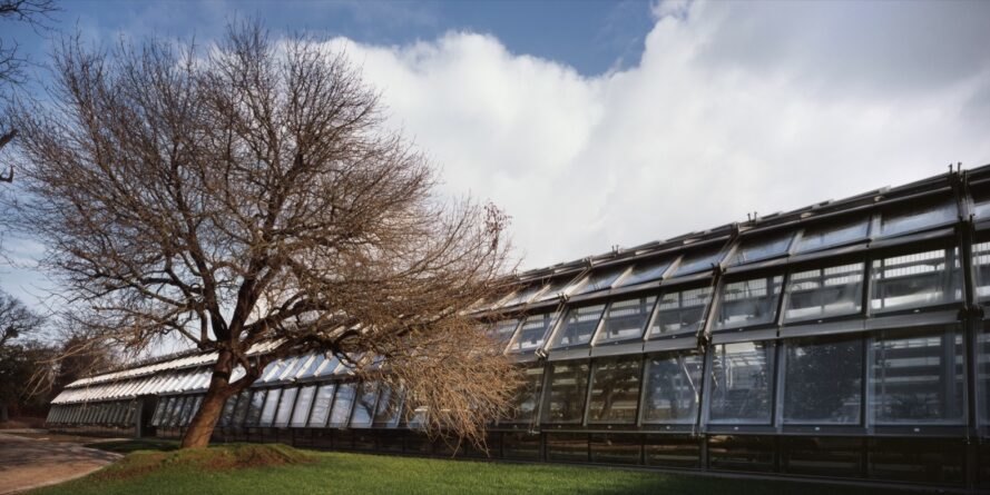 زمین تنیس سیمون