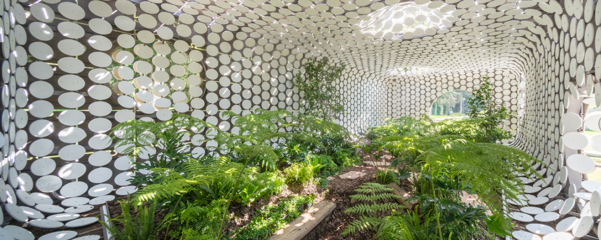 گلخانه ایگالیلیگو